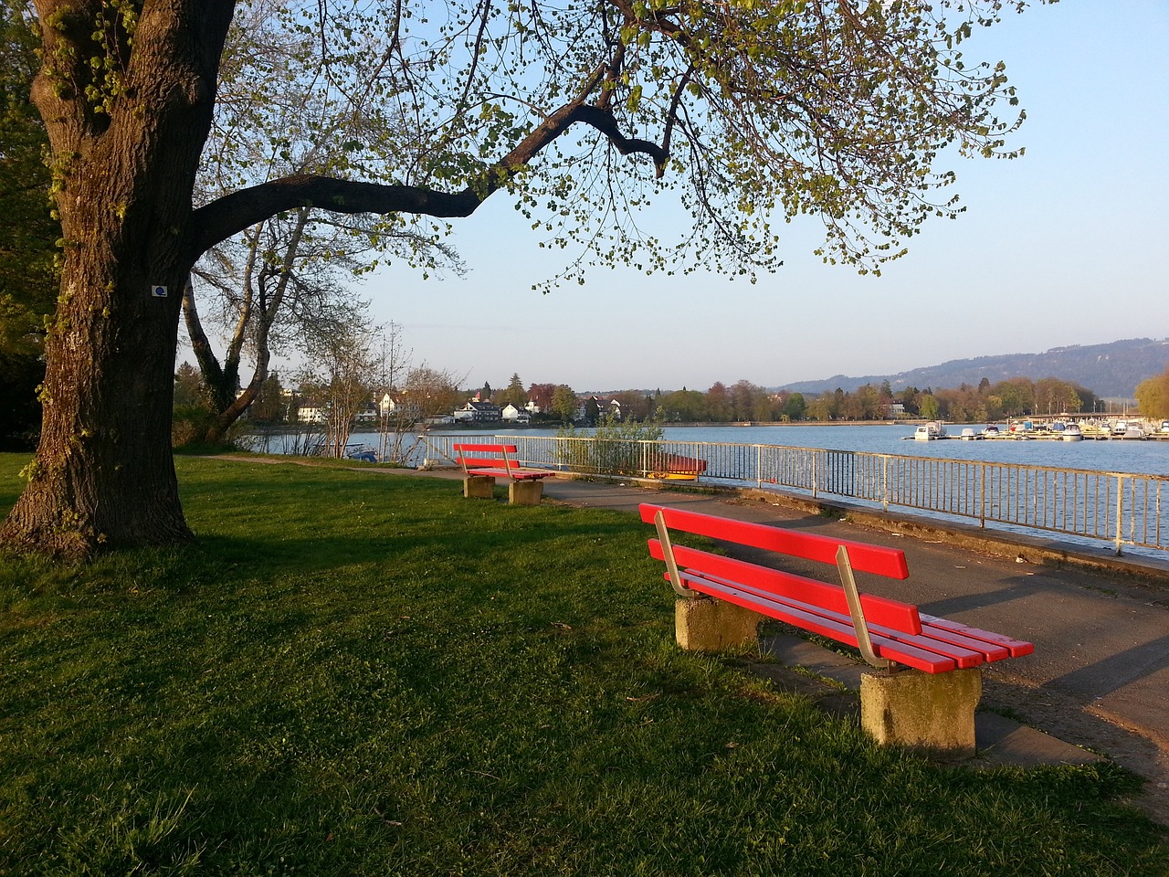 还是其他助 还是其他助