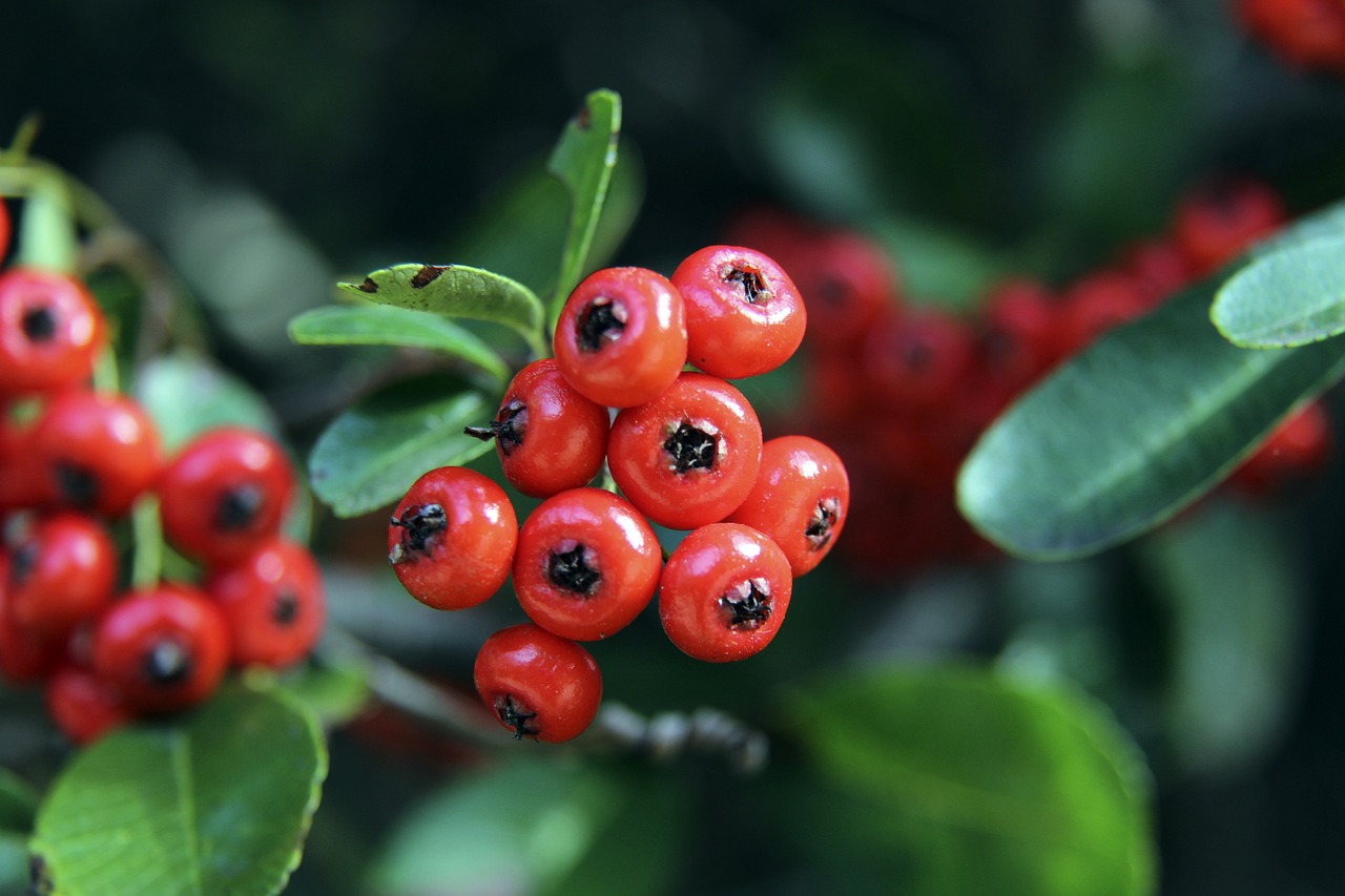 球風格產生 球風格產生